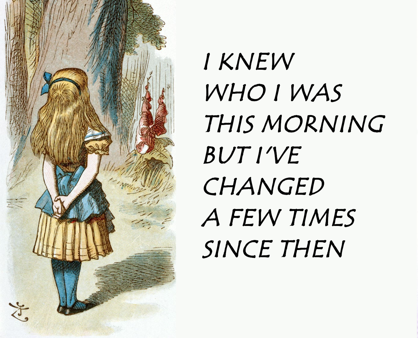 Alice